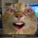 sohorny-weaver avatar