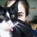 soilsprout-blog avatar