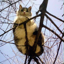 sokaklarvebisikletler avatar