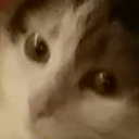 sokeekuenmittaakuule avatar