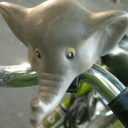 sokerihammastiikeri avatar