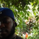 solarbeginnings avatar