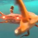 solarflare211 avatar