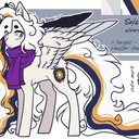 solarnight001-blog avatar