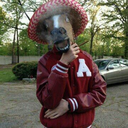 solarpenguin-blog avatar