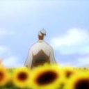 solarsunflower avatar