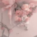 solarswonderland avatar