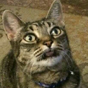 soldmysoultofandoms avatar