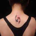 sole-fics4666 avatar