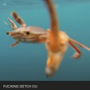 solearobservatory avatar