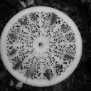 solemn-summer avatar