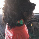 soletsmakeiteturnity avatar