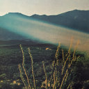 solidagosunsets avatar