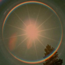 solitary-ailing avatar