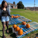 solitary-blog avatar