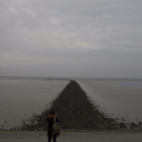 solitaryadventurer avatar