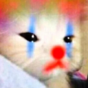 solitaryfey999000 avatar