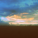 solitaryobserver avatar