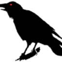 solitaryraven avatar