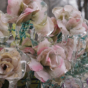 solitarywitch avatar