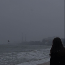 solitas-things avatar