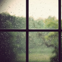 solitude-and-lazydays avatar