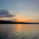 solitudeandtrees avatar