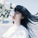 solitudethemes avatar