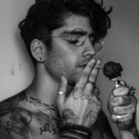 solo-zarry avatar