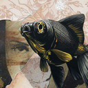 solodiceesto-no avatar