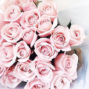 soloioelavita avatar