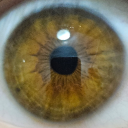 soloquierocalor avatar