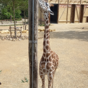 solorisembra1001 avatar