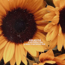 solosesceglime avatar