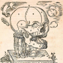 solounsidezozzo avatar