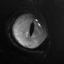 soloyo-y-mi-bici avatar