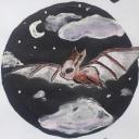 solsanchezyida avatar