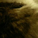 solvecoagula avatar