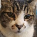 solysgoldensun avatar