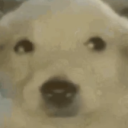 somatosensors avatar