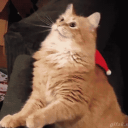 somber-tone-man avatar