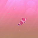 somberclownfish avatar
