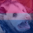 some-feral-opossum avatar