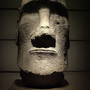 some-like-it-not avatar