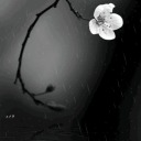 some-love69some-crazy avatar