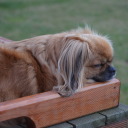 some-other-number avatar