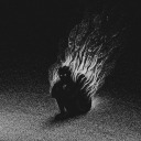 some-vents-idk-yall avatar