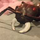 some1-somehouse avatar