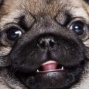 some1elsebloglol avatar