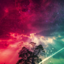 somebodyelsein avatar